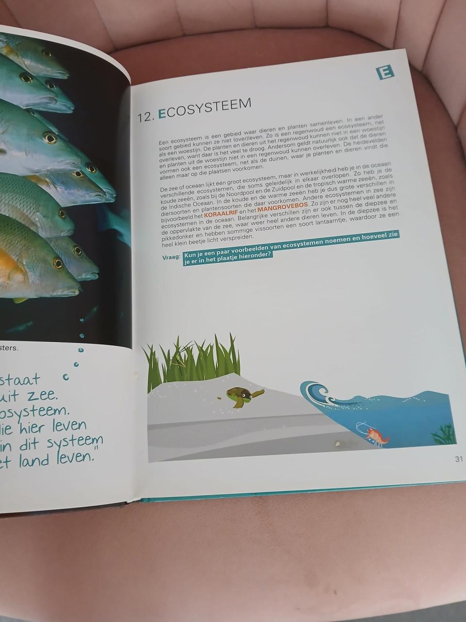 Kinderboeken zeethema