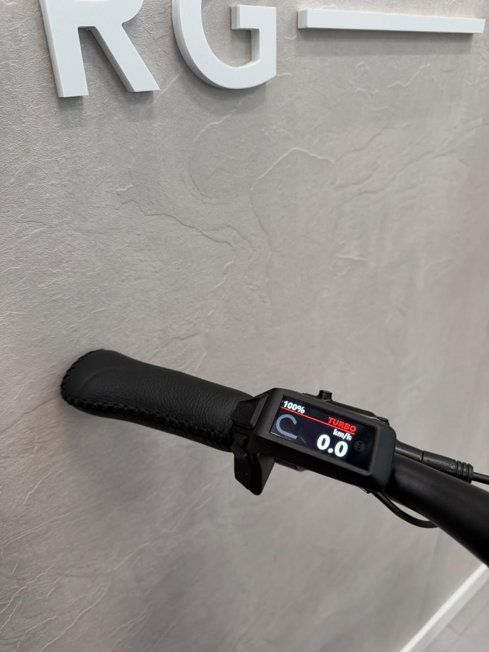 Gazelle Ultimate C8+ Bosch Active Line Plus 57CM 500Wh Belt
