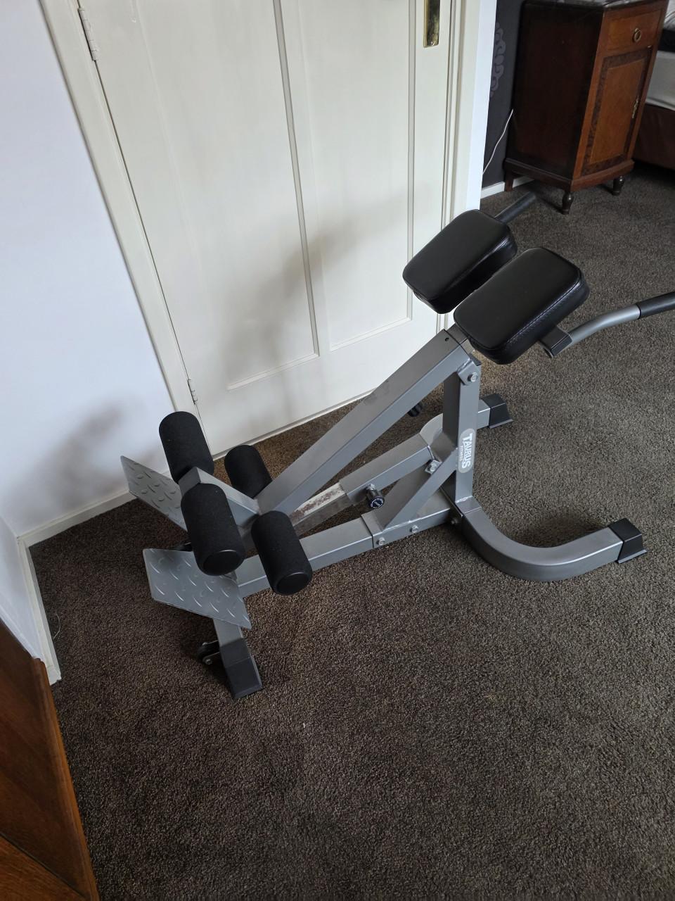 Rugtrainer/ Hyperextension / Roman Chair / Back Extension - €100
