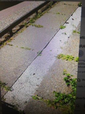 ****** GRATIS: BETONTEGELS*************