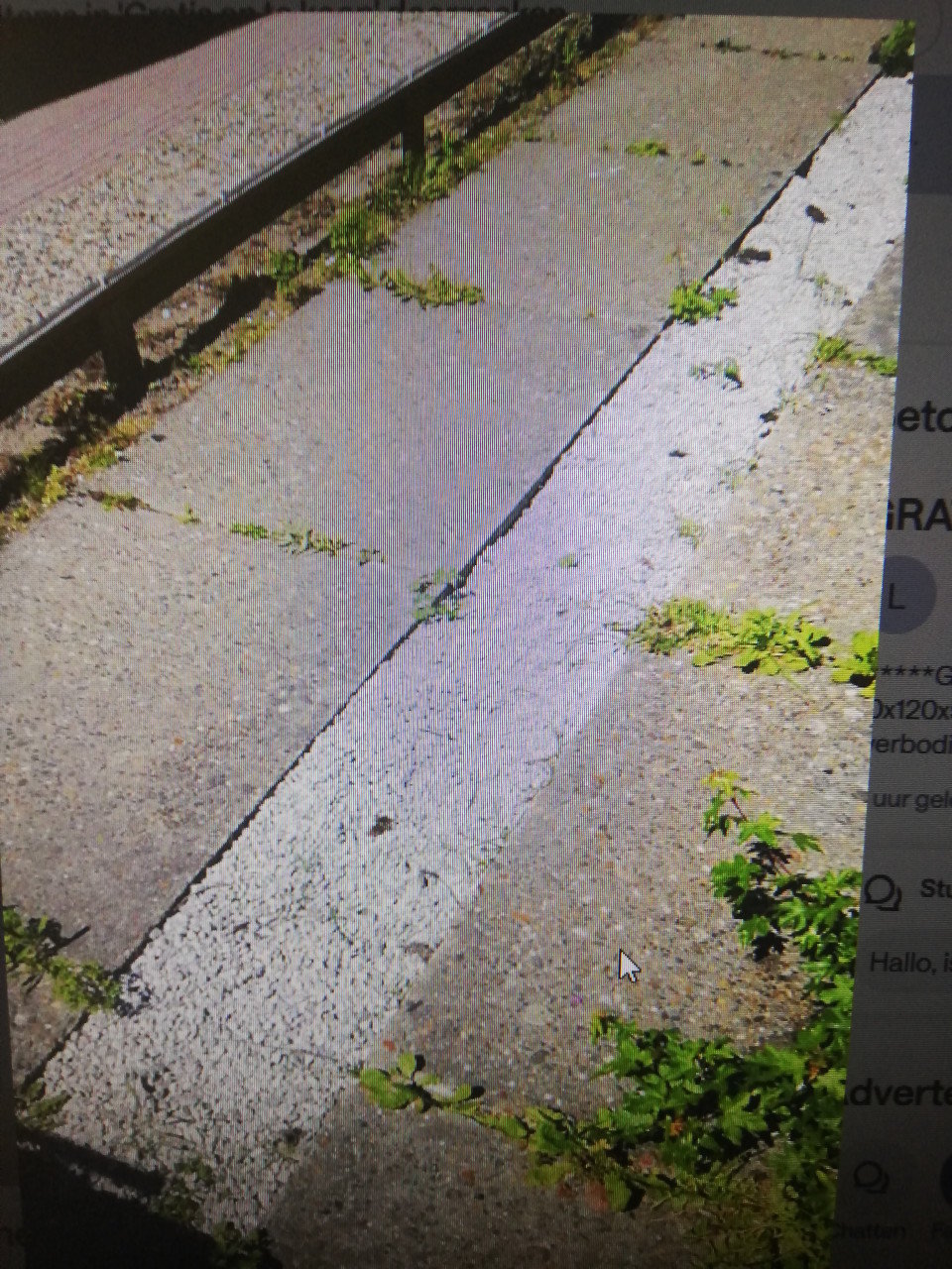 ****** GRATIS: BETONTEGELS*************