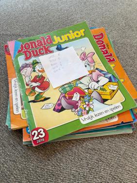 Donald Duck Junior