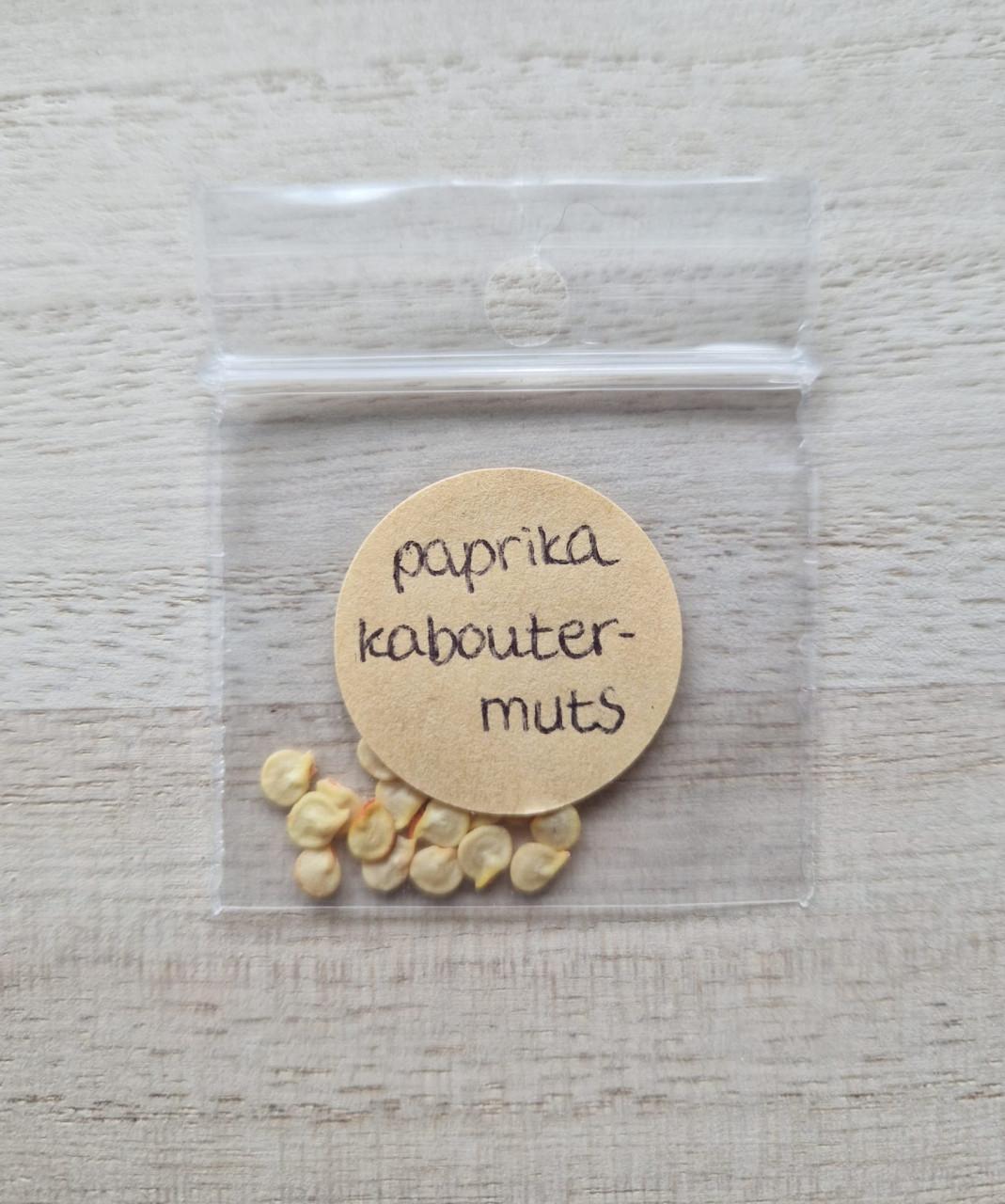 Nu zaaien! Zaden paprika Kaboutermuts - onbespoten