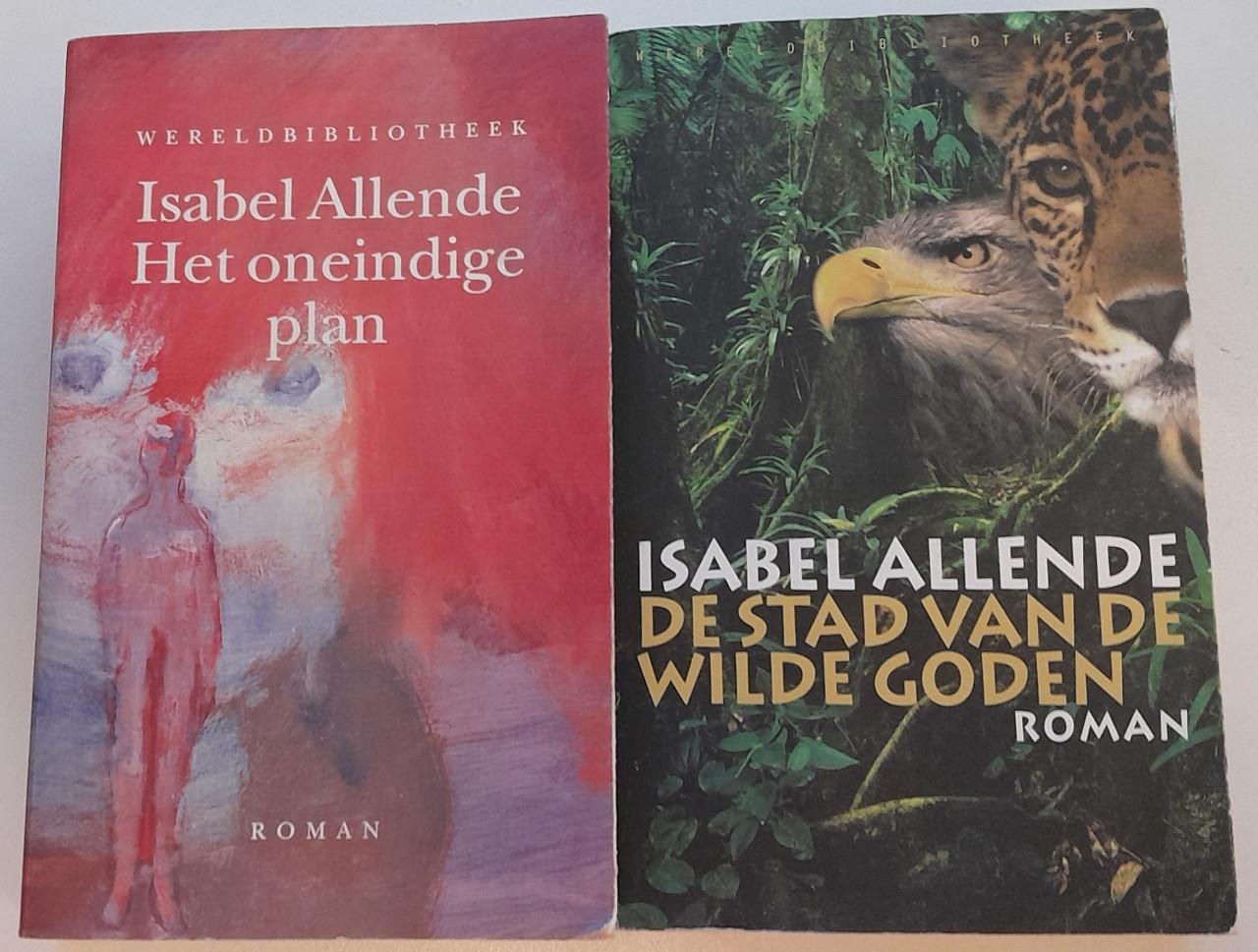 Isabel Allende - Het oneindige plan.