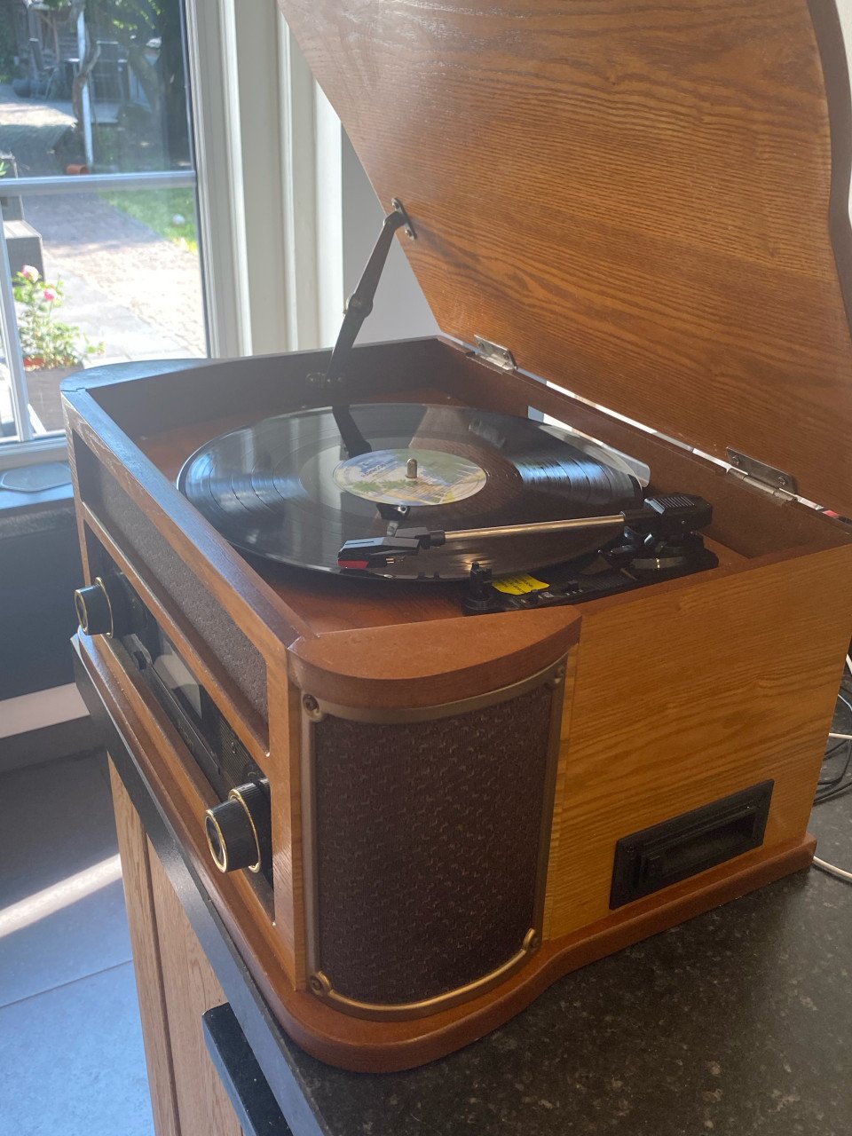 Multifunfionele platenspeler Ion