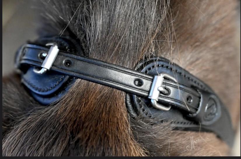 Edix ED2 Grave, sidepull hoofdstel