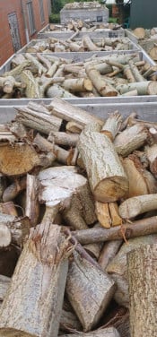 Diverse soorten haardhout