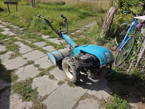 Bertolini tuinfrees