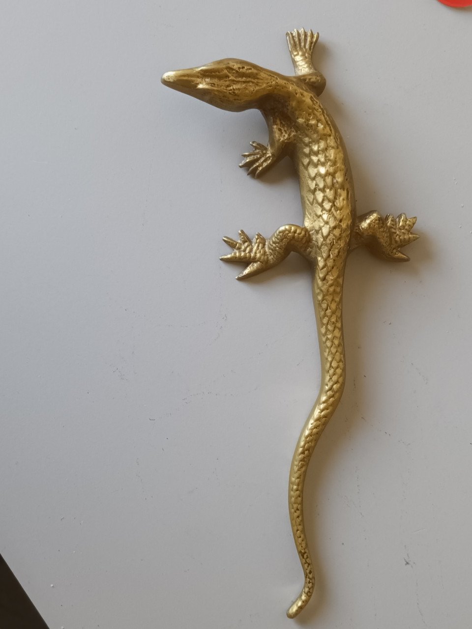 GROTE KOPEREN HAGEDIS