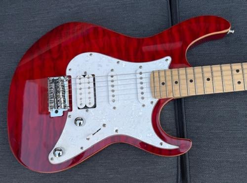 Prachtige fijn spelende gitaar G serie