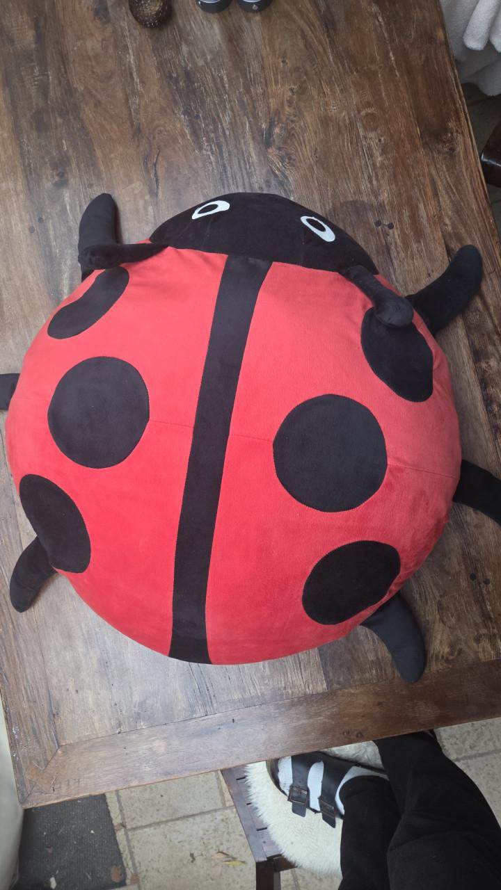 Grote lieveheersbeestje knuffel