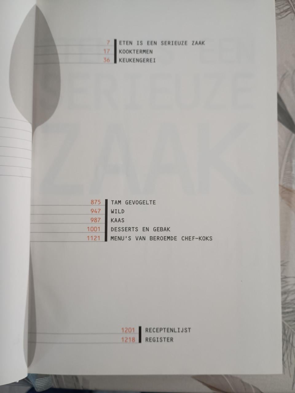Boek: De Zilveren Lepel