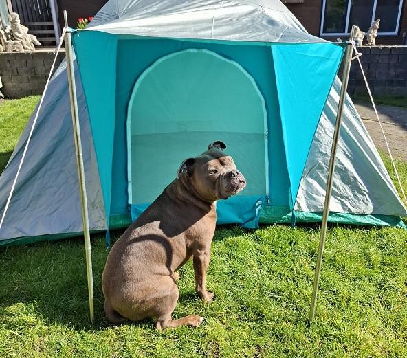 2 Persoonstent  LEES