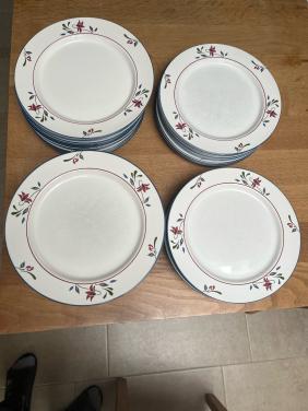 34 Dinerborden z.g.a.n.