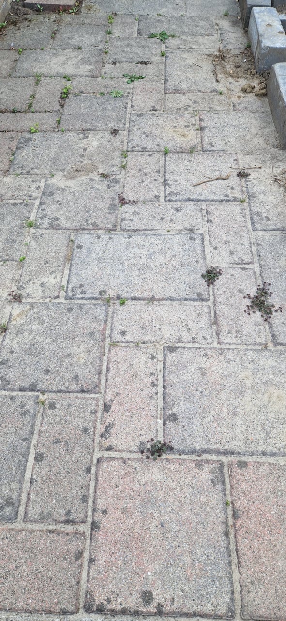 Tuin tegel