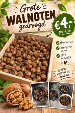 GROTE GEDROOGDE WALNOTEN TE KOOP!