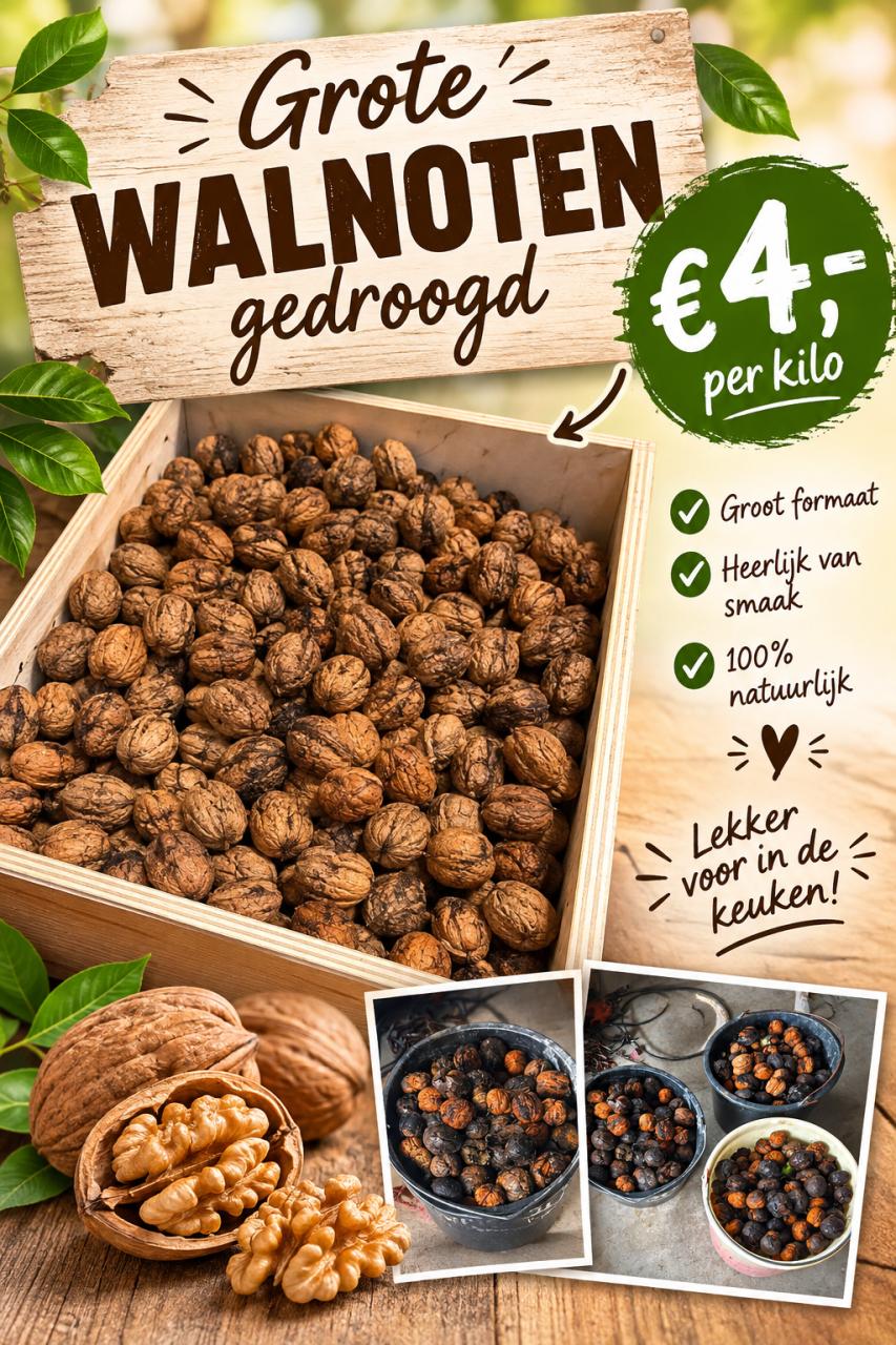 GROTE GEDROOGDE WALNOTEN TE KOOP!