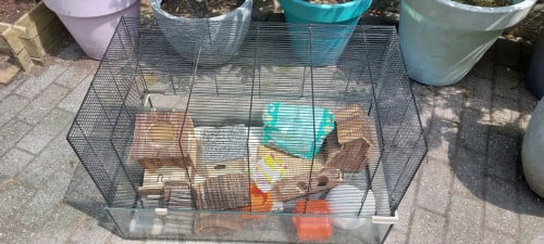 Hamsterkooi