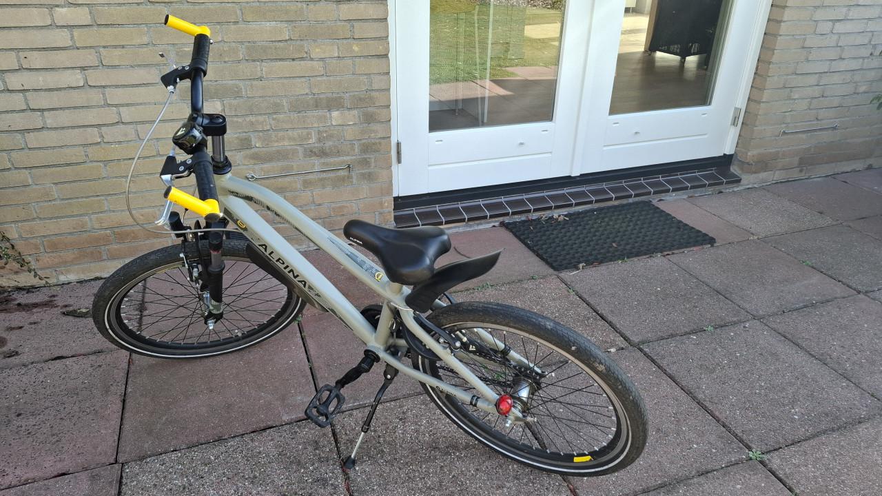 Alpina Trial  22 inch