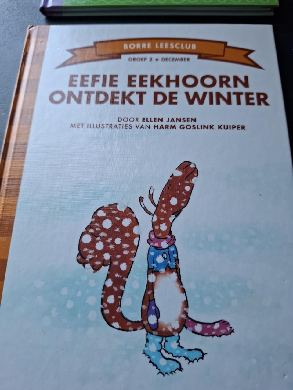 Set 12 Borre boekjes