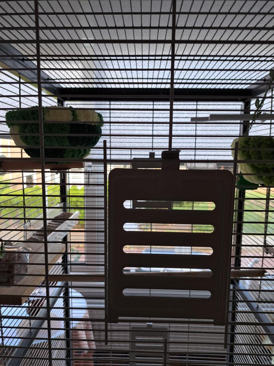 Vogelkooi / Voliére