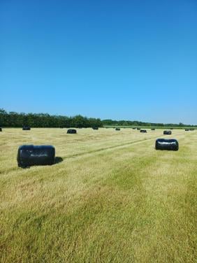 Balen weidegras eerste snee