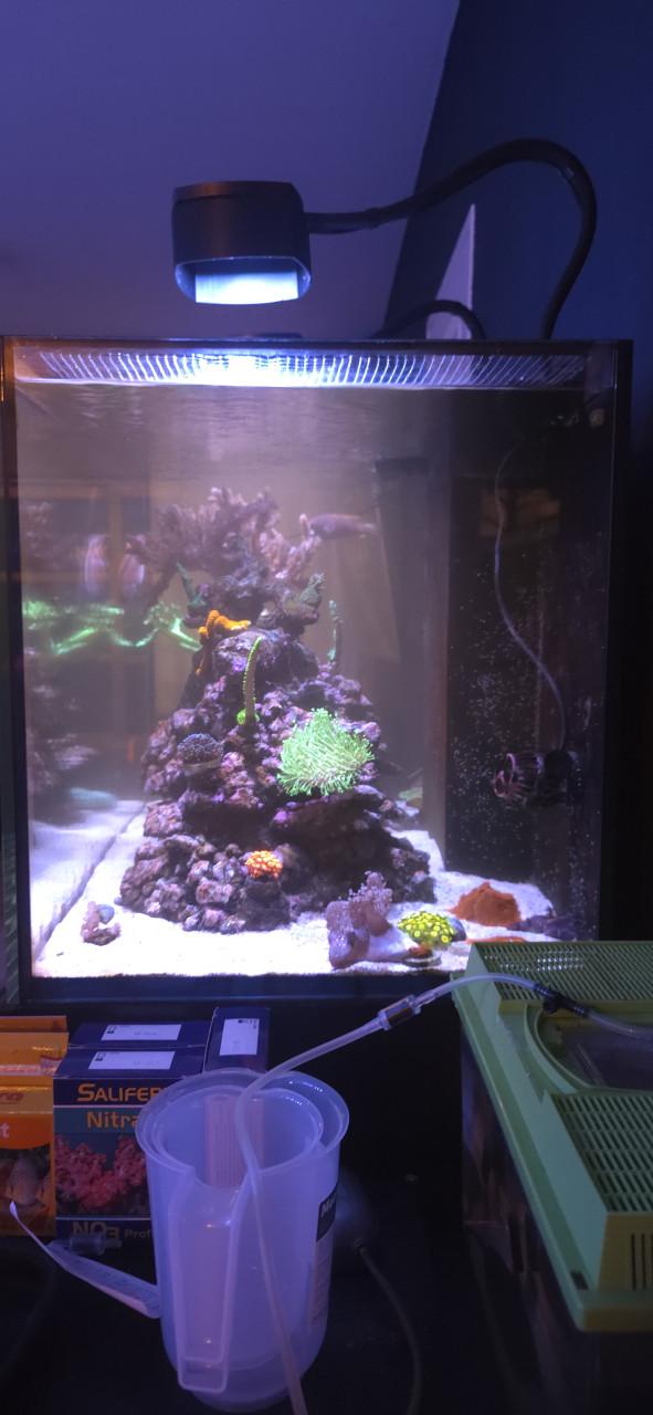 Zeeaquarium 250L incl apparatuur.