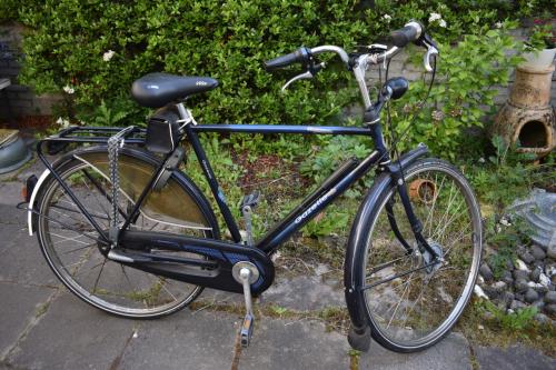 Gratis fiets, Gazelle Primeur 26