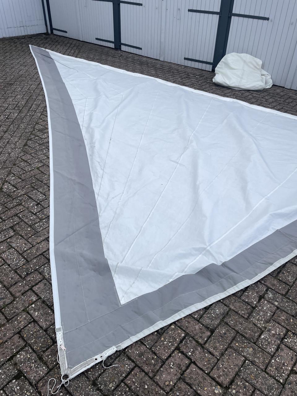 Rolfok/Genua Luff 853cm