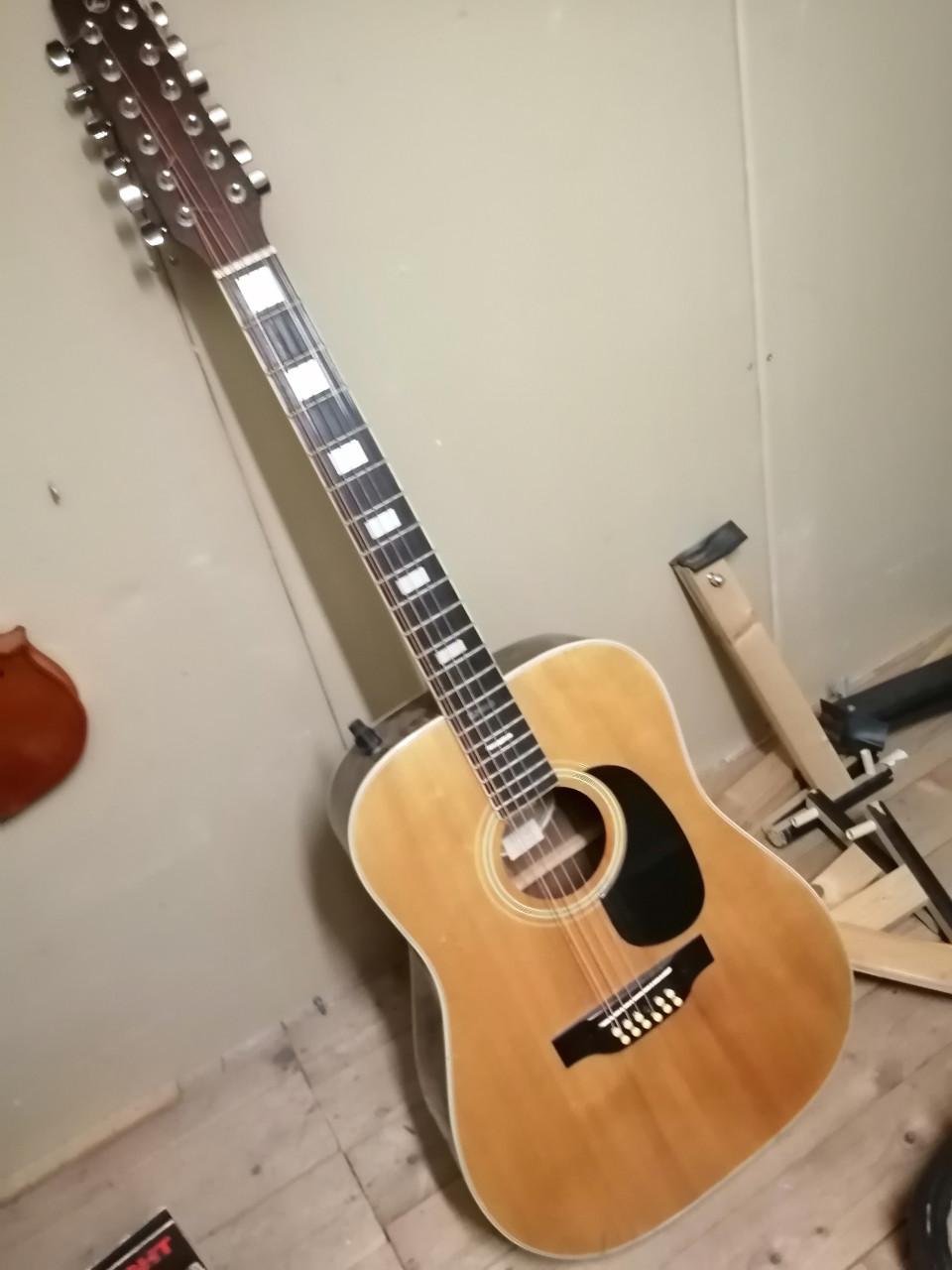 12 sn landola gitaar