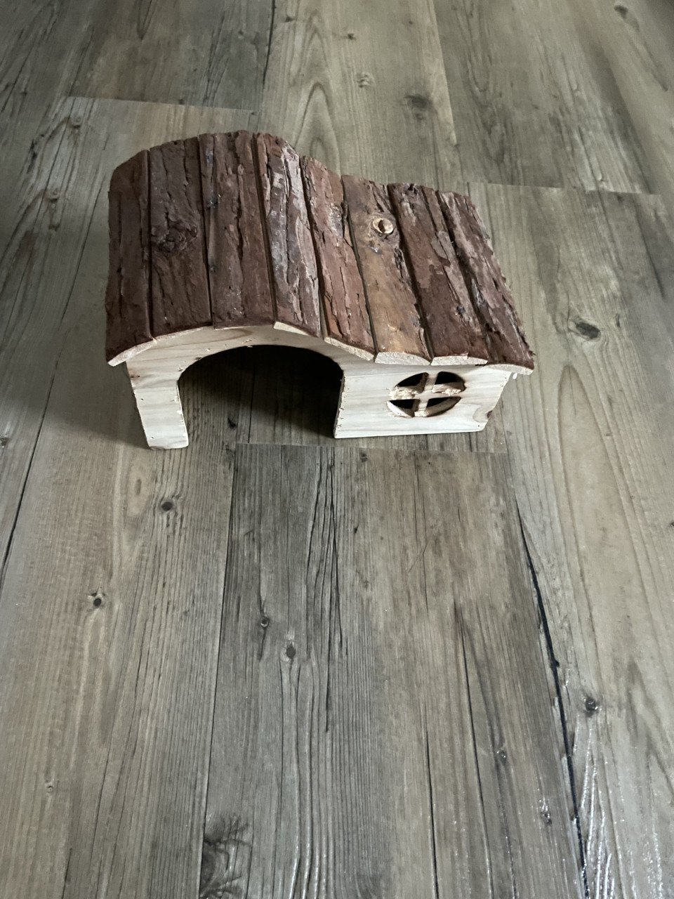 Cavia huis