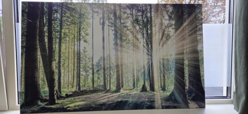 Wanddecoratie bos