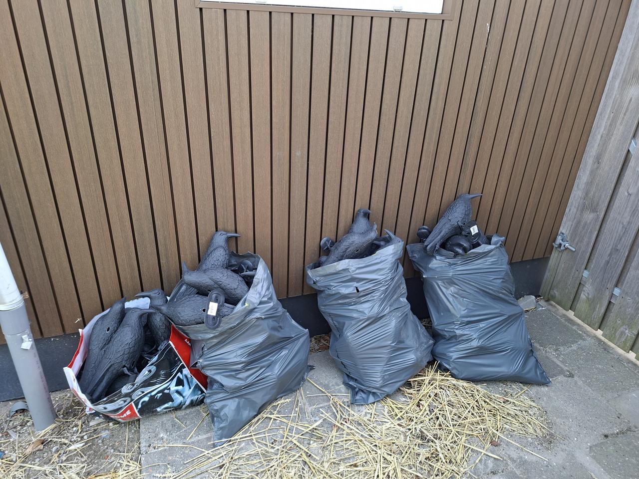 Kraaien plastic ca 60 st