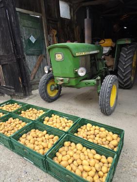 Verse nieuwe aardappels thuisbezorgd