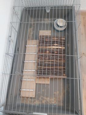 Cavia/Konijnenkooi