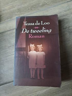 Roman De tweeling Tessa de Loo