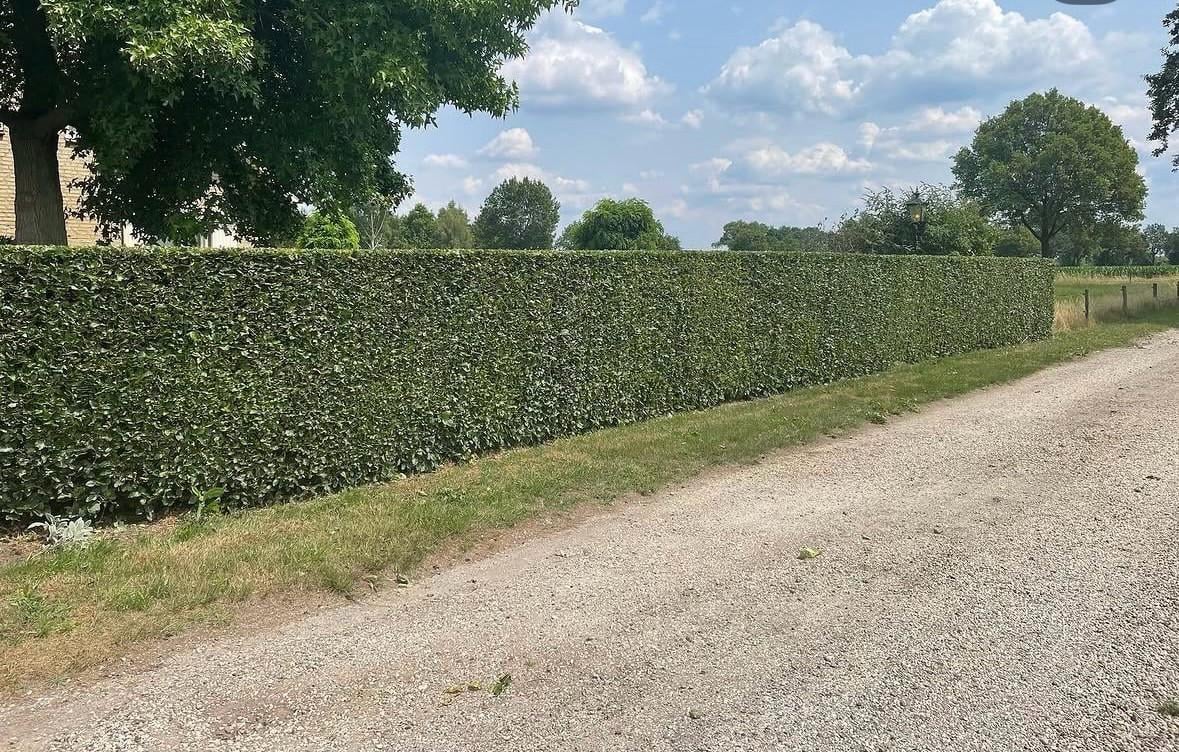 Tuin man/ hovenier