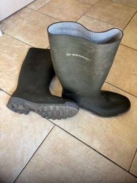 Herenlaars Dunlop maat 45