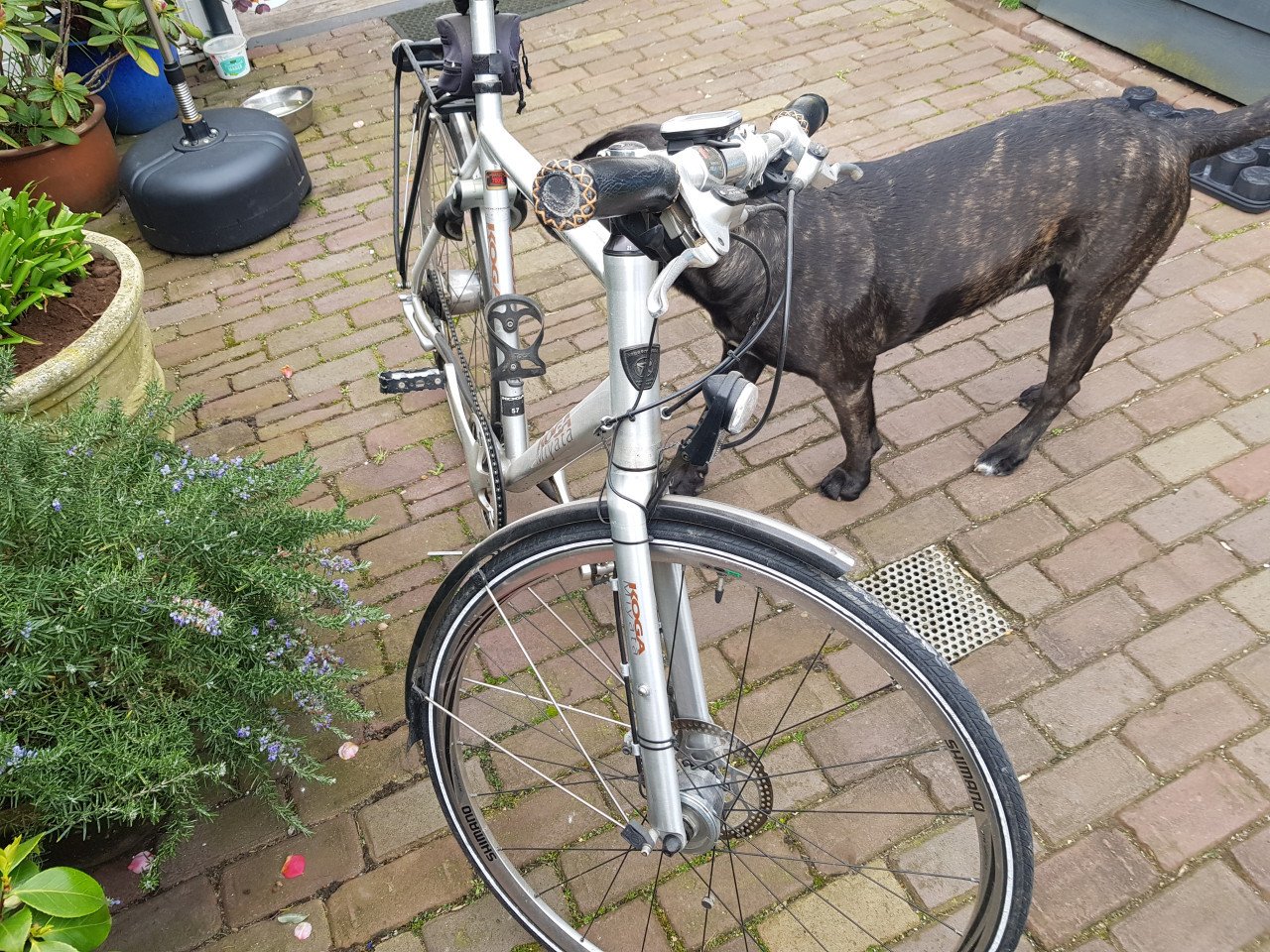 Herenfiets Koga Myata infinity
