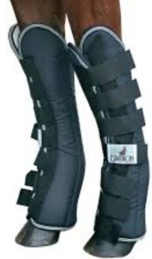 Eskadron transportbeschermers