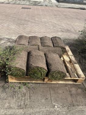 Wie o wie! Grasrollen 9 vierk.m