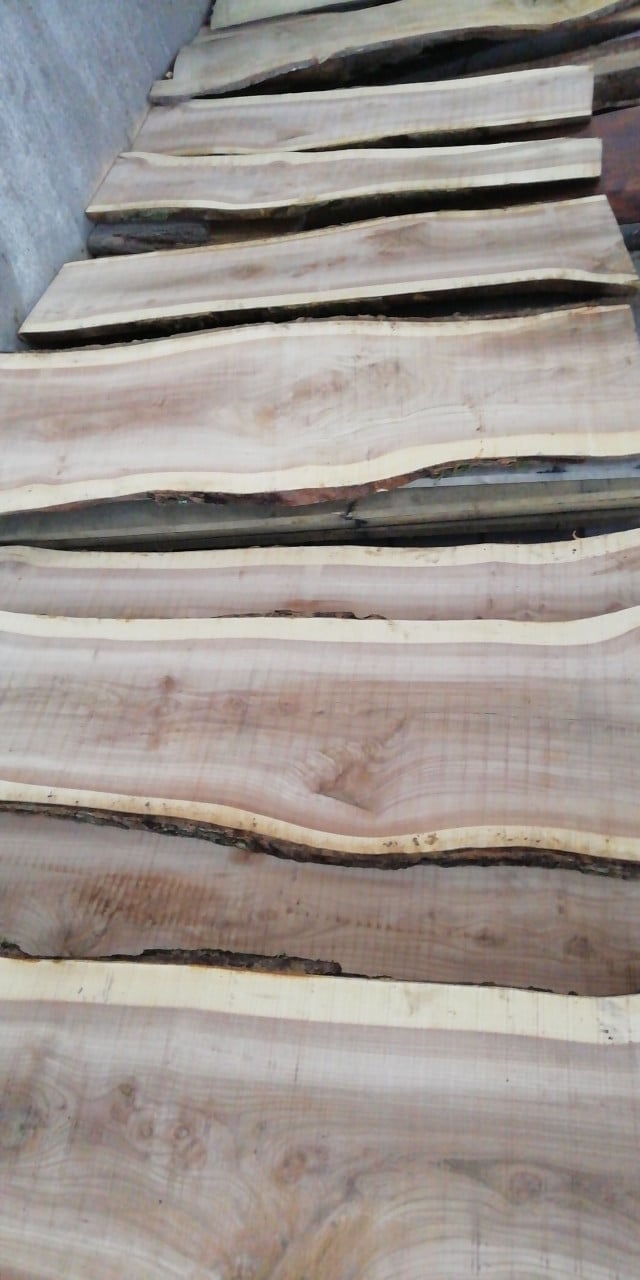 Planken Tafelbladen decoratie Boomstamtafels Bar Salon Zitbank