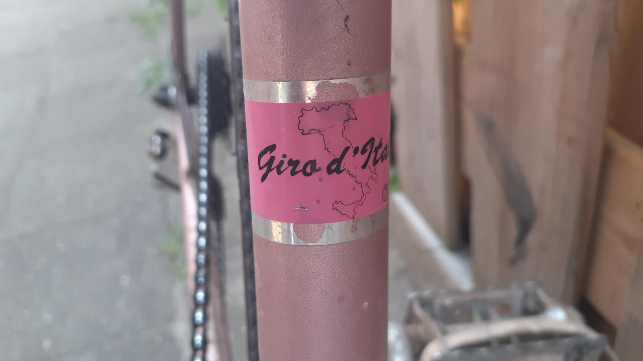 3x Racefiets EDDIE-MERKX Collectors-item.!! & GAZELLE -XXL & GIANT