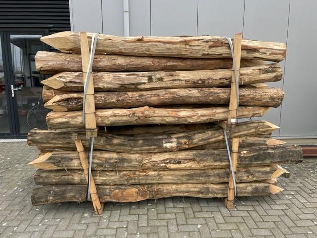 Robinia Strandpalen Mooi voor in de tuin als decoratie