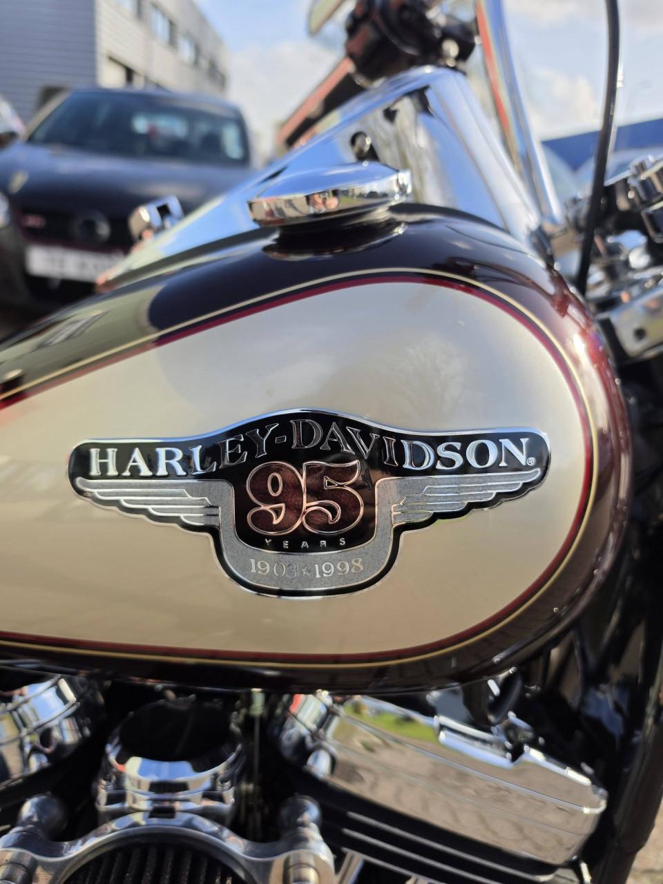 Harley-Davidson 1200😍 Custom Sportster – 95th Anniversary Edition