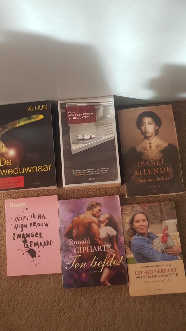 Partij Nederlandse romans