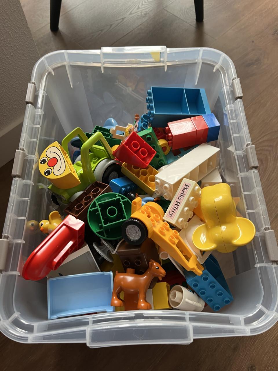 Duplo (Lego) grote doos vol
