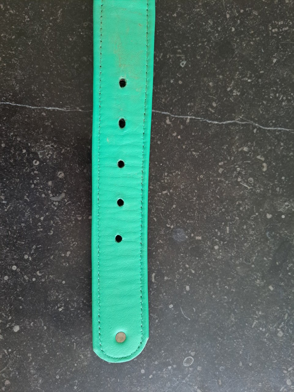 Grote halsband hond Dog wth a mission