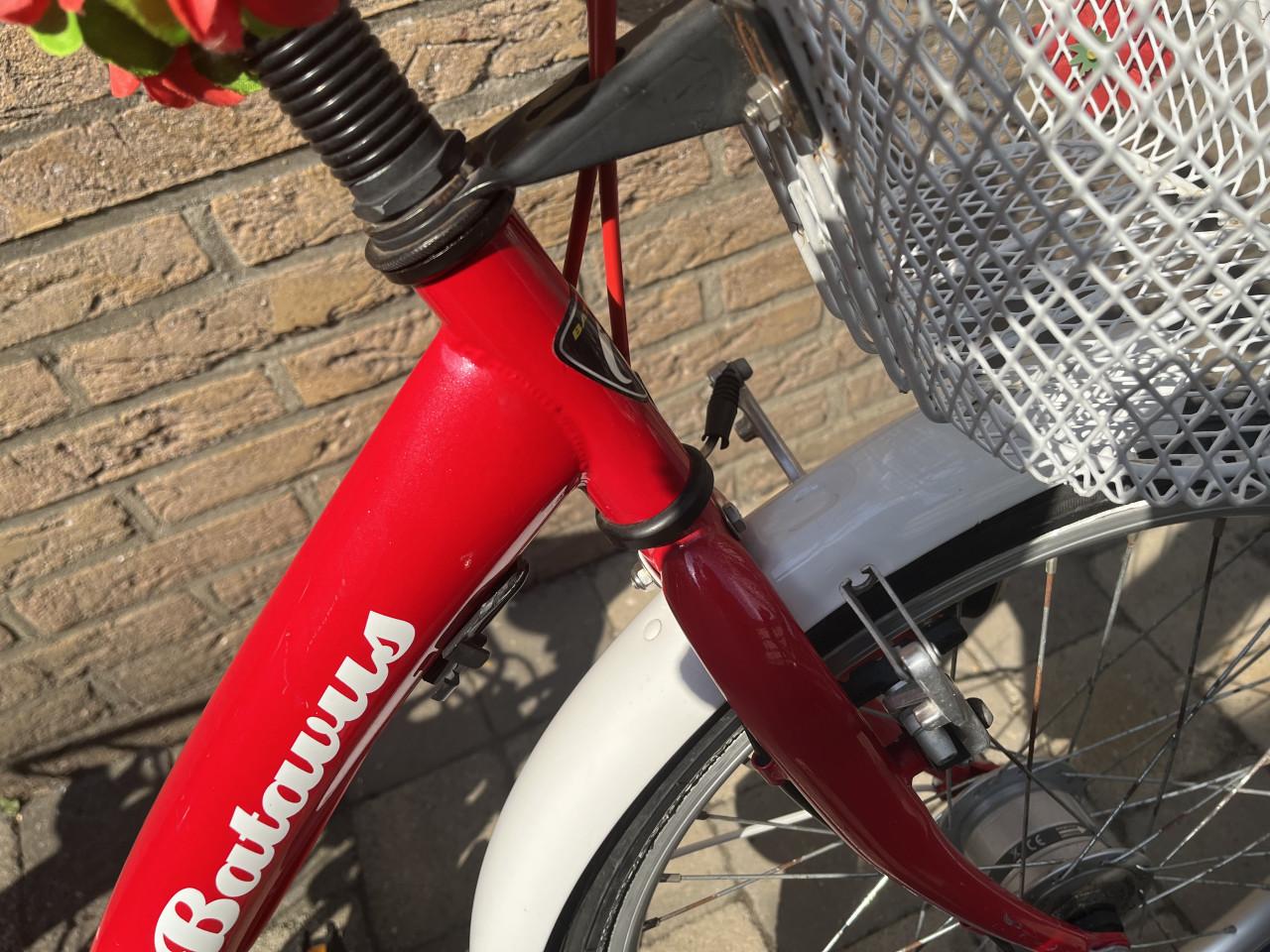 Batavus meisjesfiets 22 inch