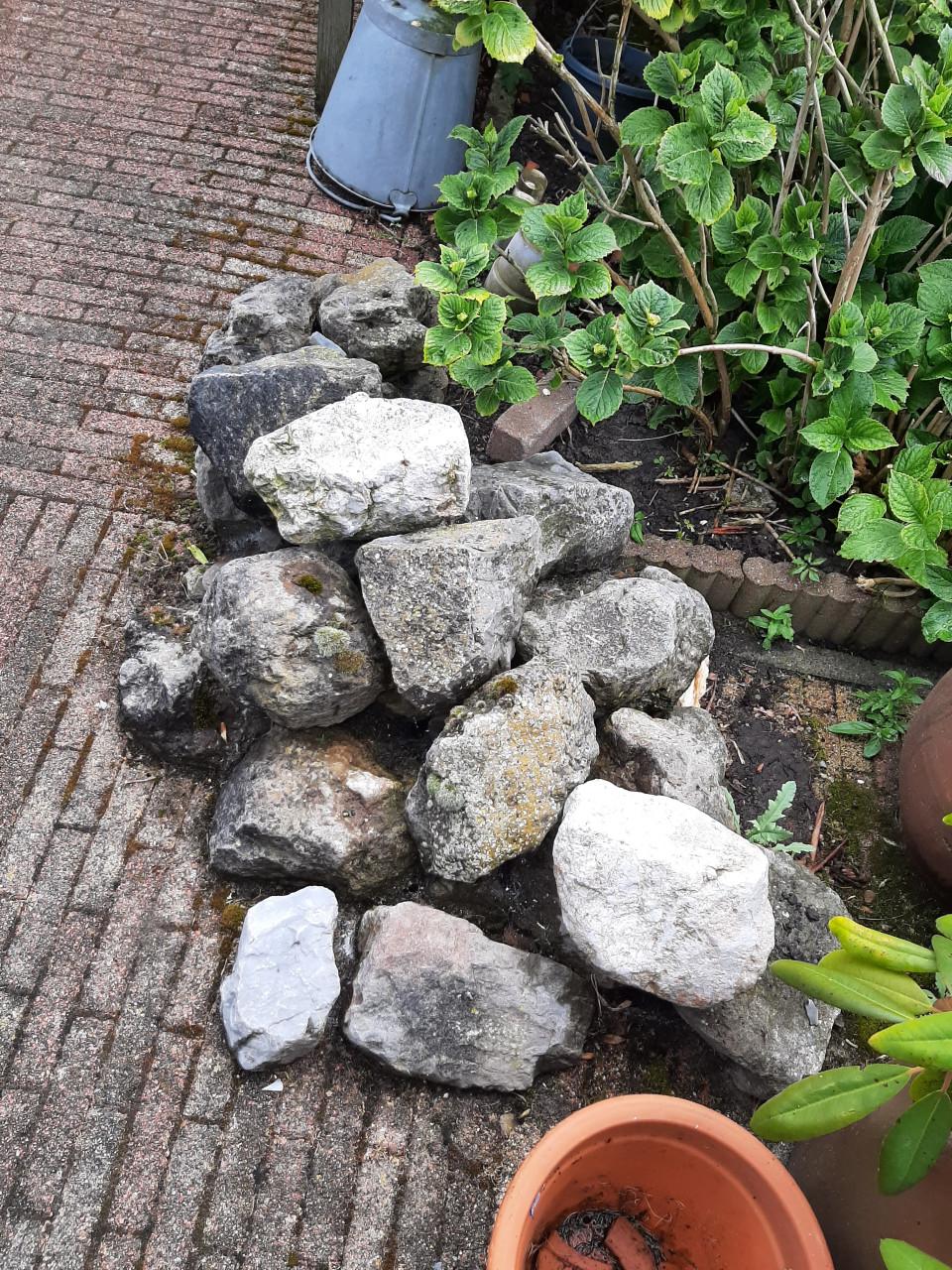 VIJVERSTENEN --GRATIS